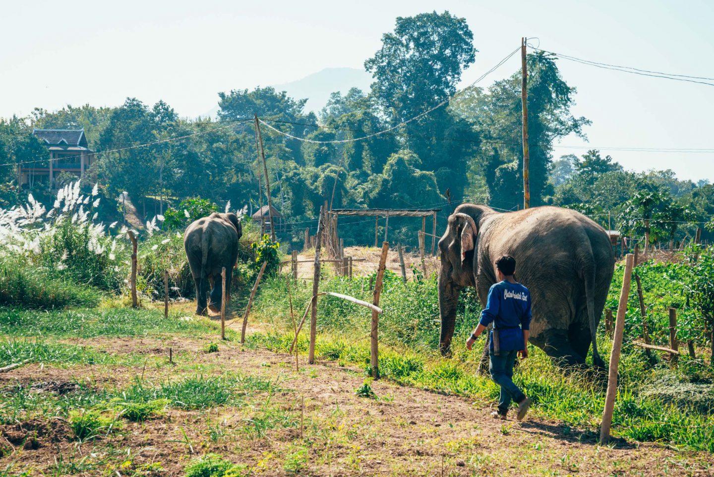 Letters from Laos Luang Prabang, a magical fairy tale about