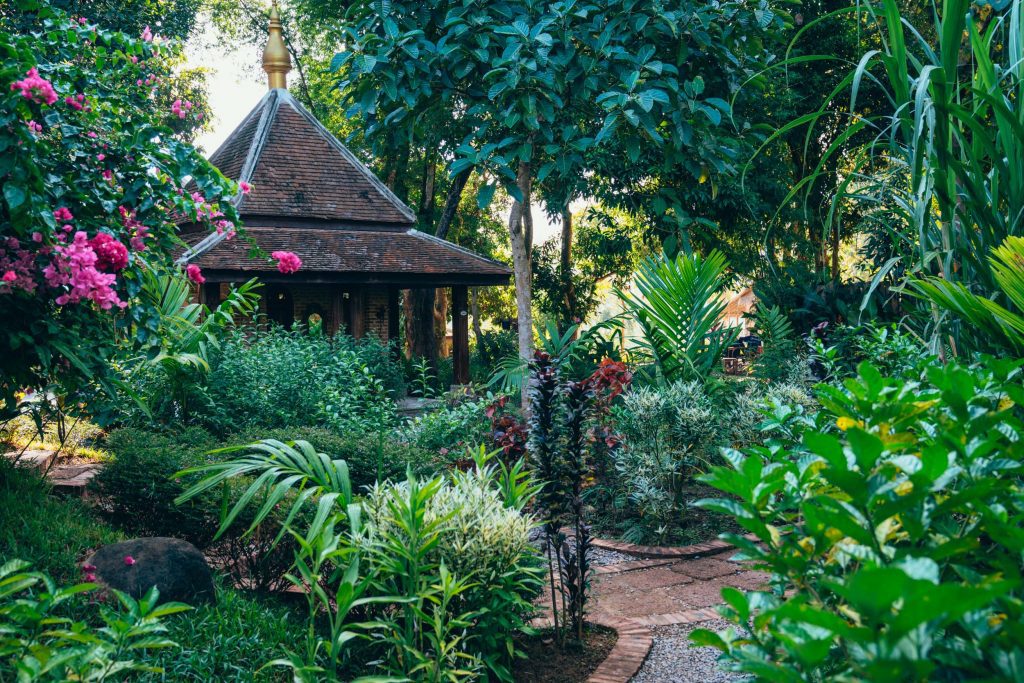 Letters from Laos Luang Prabang, a magical fairy tale about