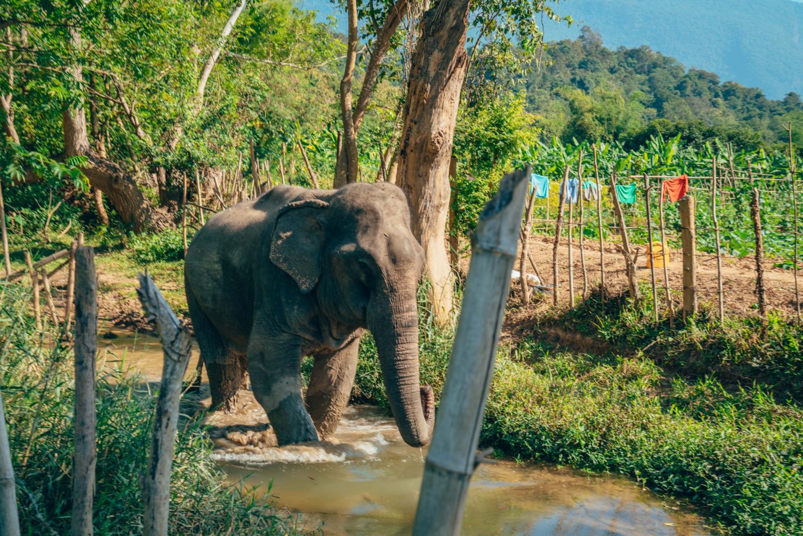 Letters from Laos Luang Prabang, a magical fairy tale about
