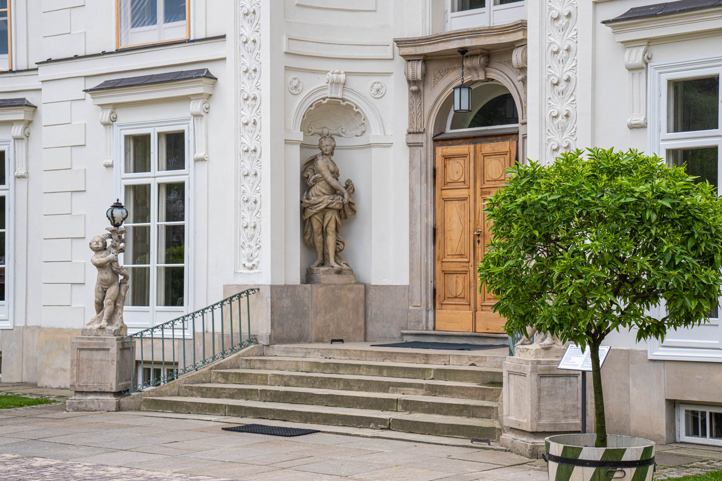 Entrance staircase of Myślewicki Palace in Warsaw with stucco and potted citrus tree, Mr.M by Marko Tadić